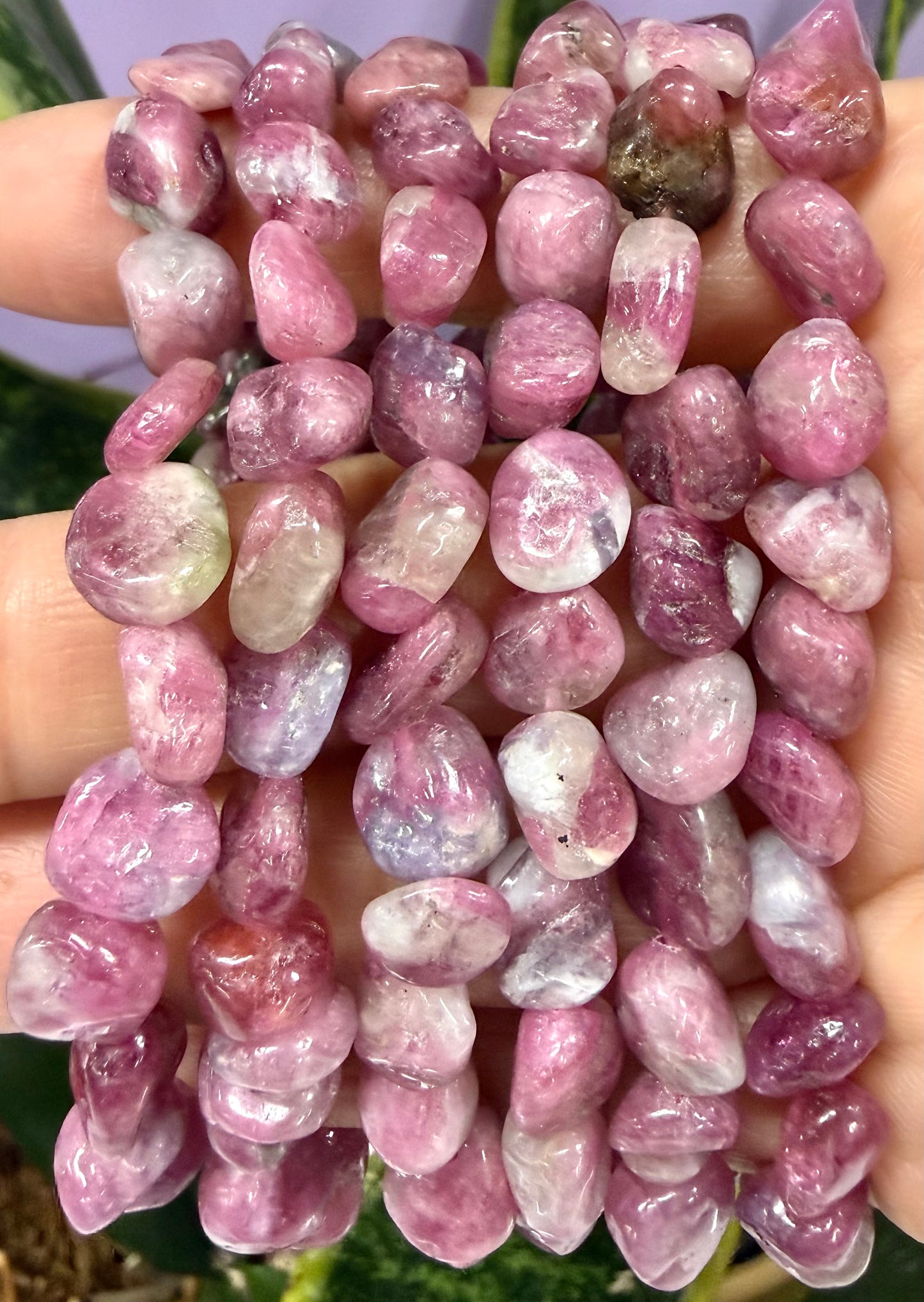 Wholesale 6 Pcs ~8mm Pink Tourmaline Crystal tumble Stretch Bracelet 7.5”