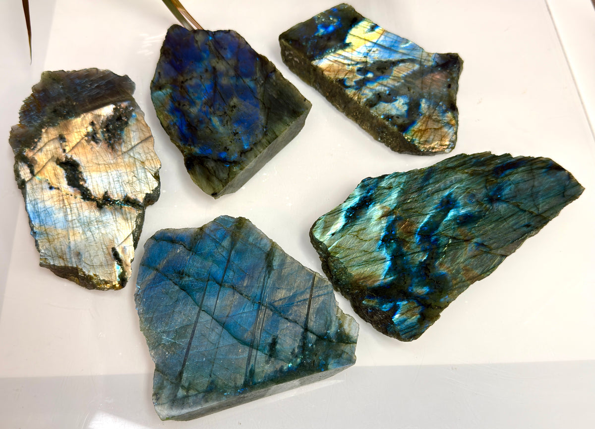 Wholesale Lot 4-5 pcs Natural Labradorite Slab Crystal Healing Energy