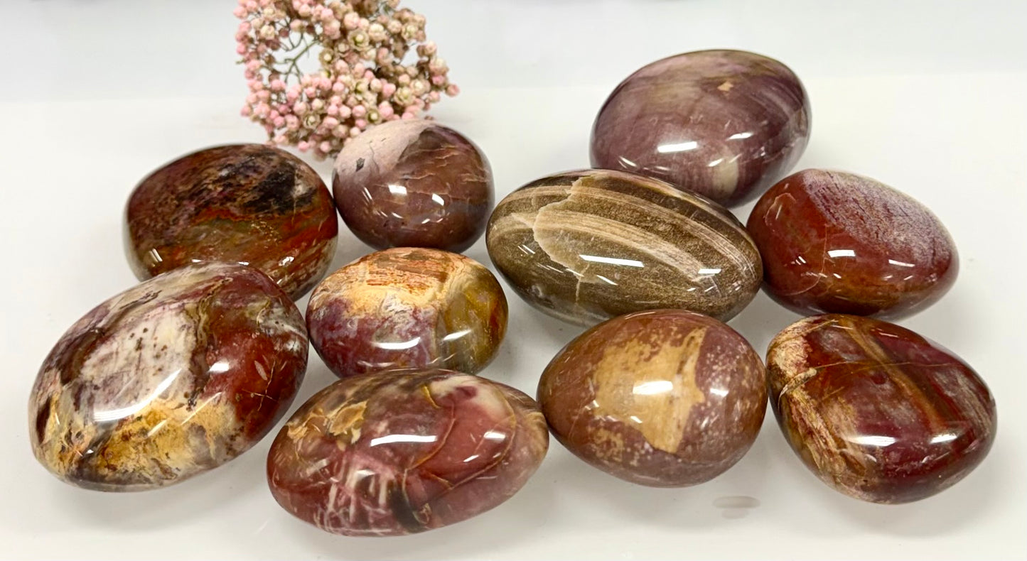 Wholesale 2 Lb Lot Natural Petrified Wood Palm Stones Crystal Natural Energy