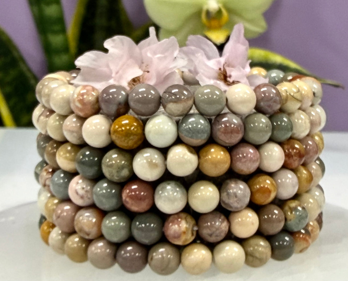 6 PCs 6mm Natural Alashan Agate Stretch Bracelet 7.5”
