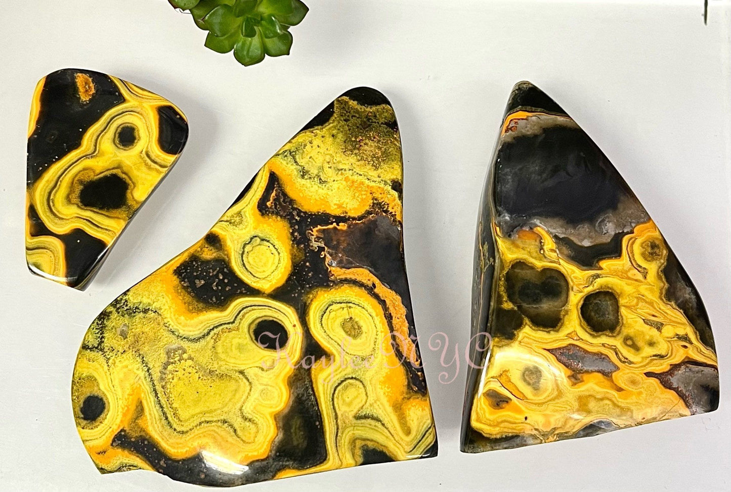 Wholesale Lot 3 pcs Natural Bumblebee Jasper Freeform Crystal Healing Energy 2.8-3lbs