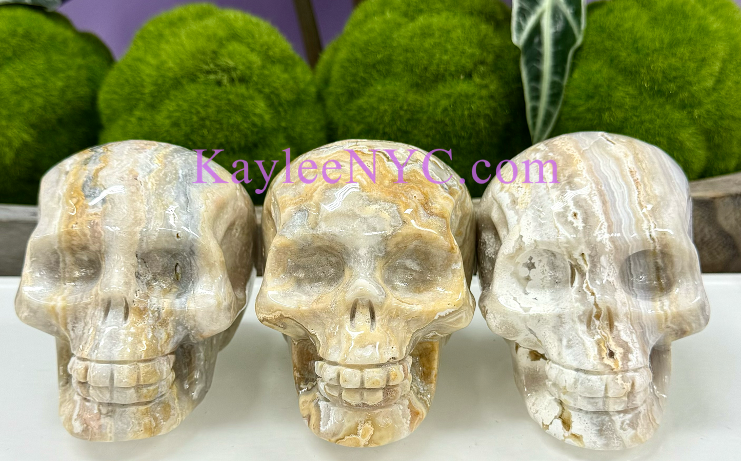 Wholesale lot 3 Pcs Natural Crazy Lace Agate Crystal Skull