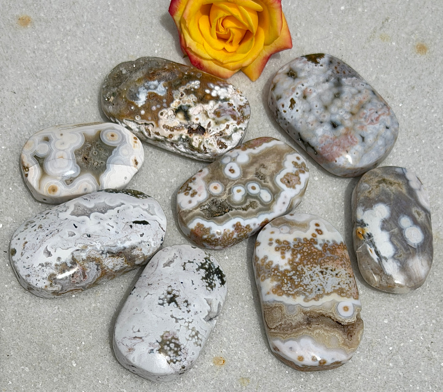 Wholesale 1 lb Lot Natural Ocean Jasper Palm Stone Crystal Energy