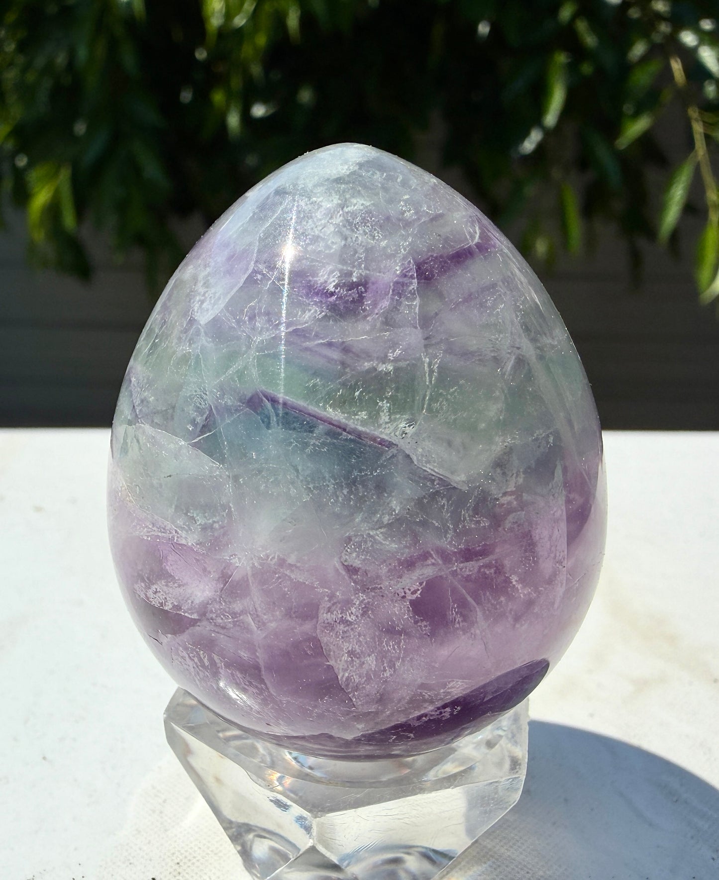 Wholesale Lot 8 pcs Natural Fluorite Egg crystals Healing Enery