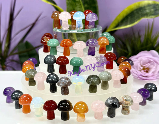 Wholesale Lot 50 PCs Natural Mixed 20mm Crystal Mushroom Healing Energy