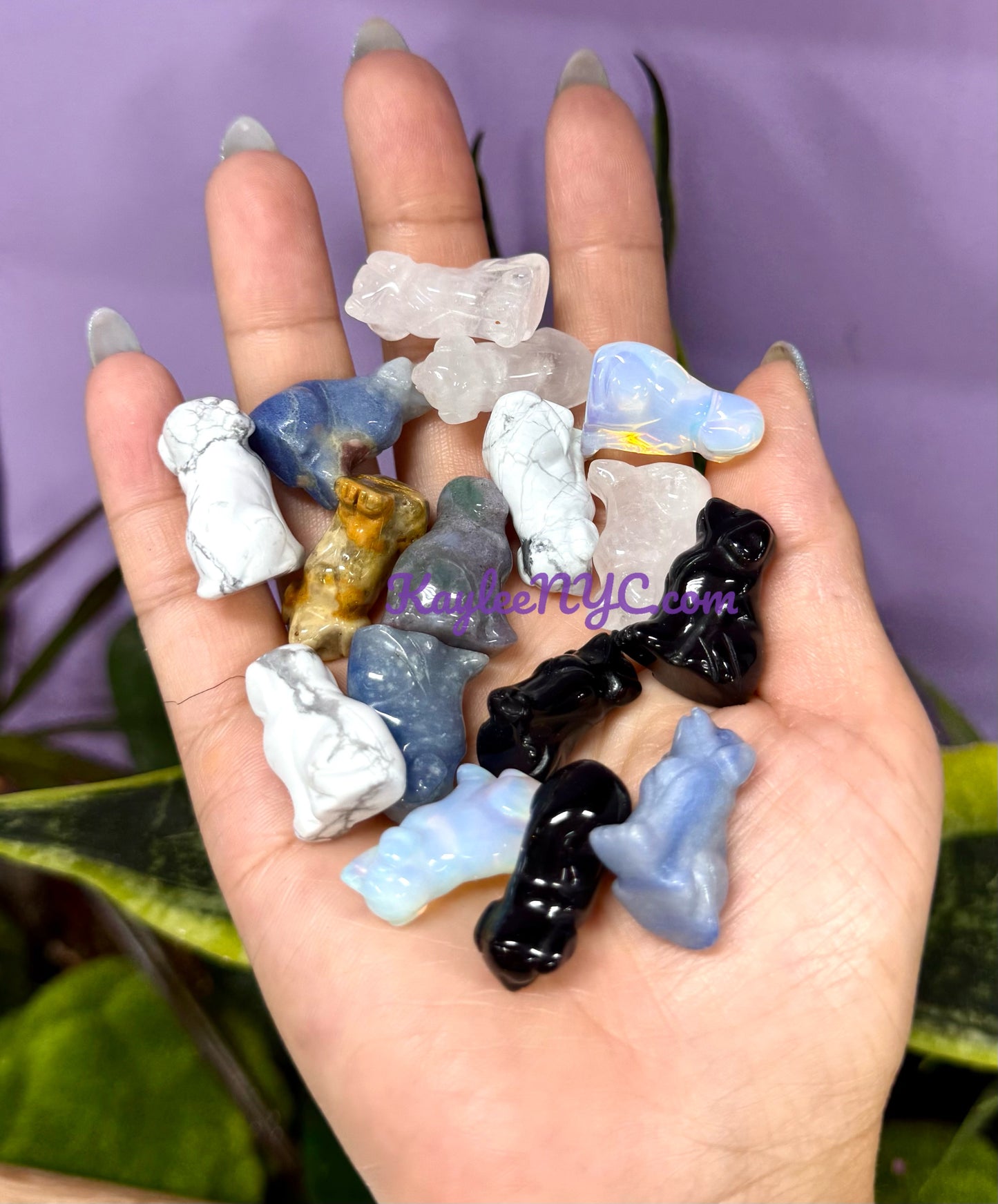 Wholesale Lot 16 PCs Mix Crystals Dogs Crystal Healing Energy