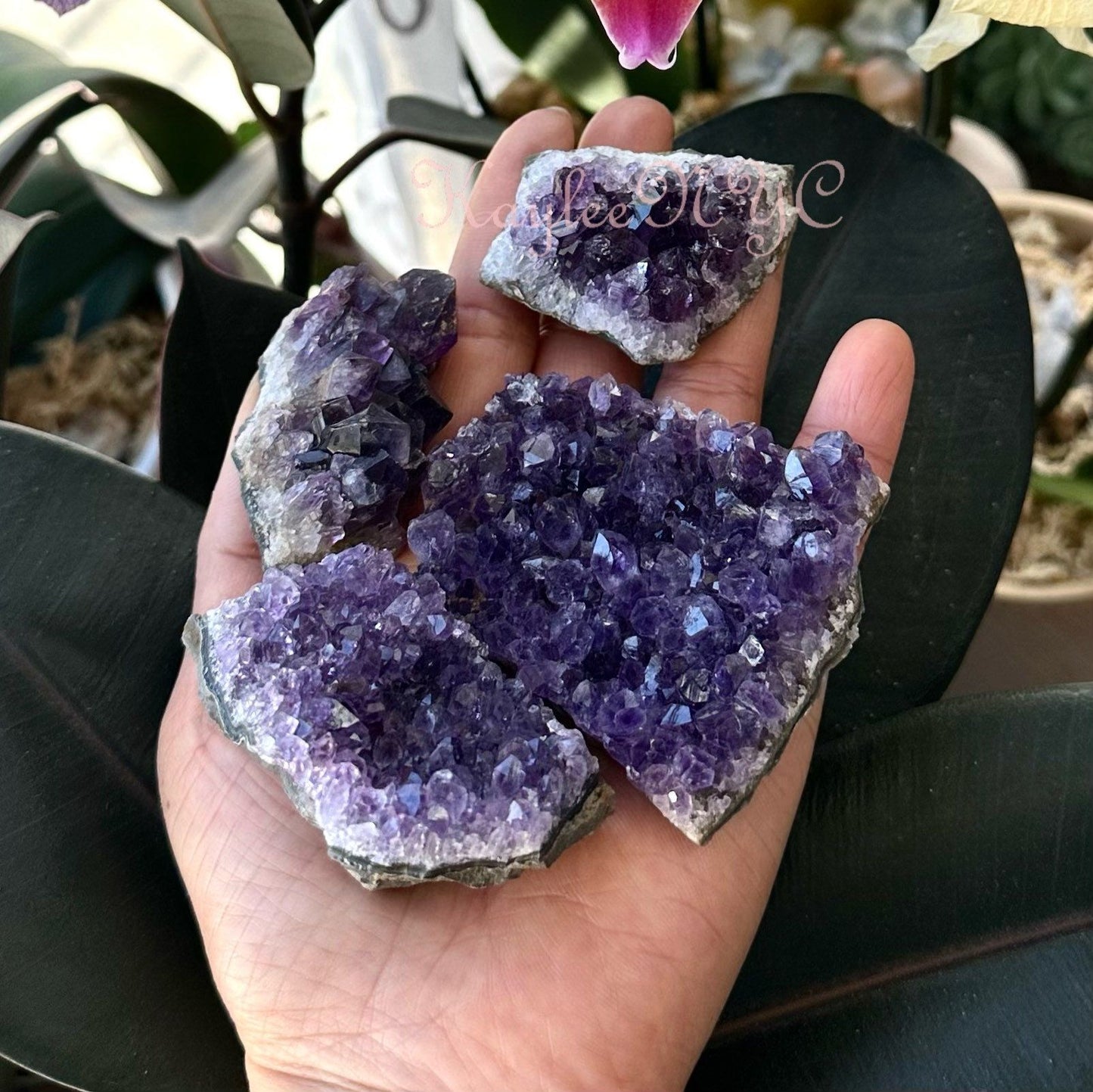 Wholesale Lot 2 lb Natural Amethyst Cluster Raw Crystal