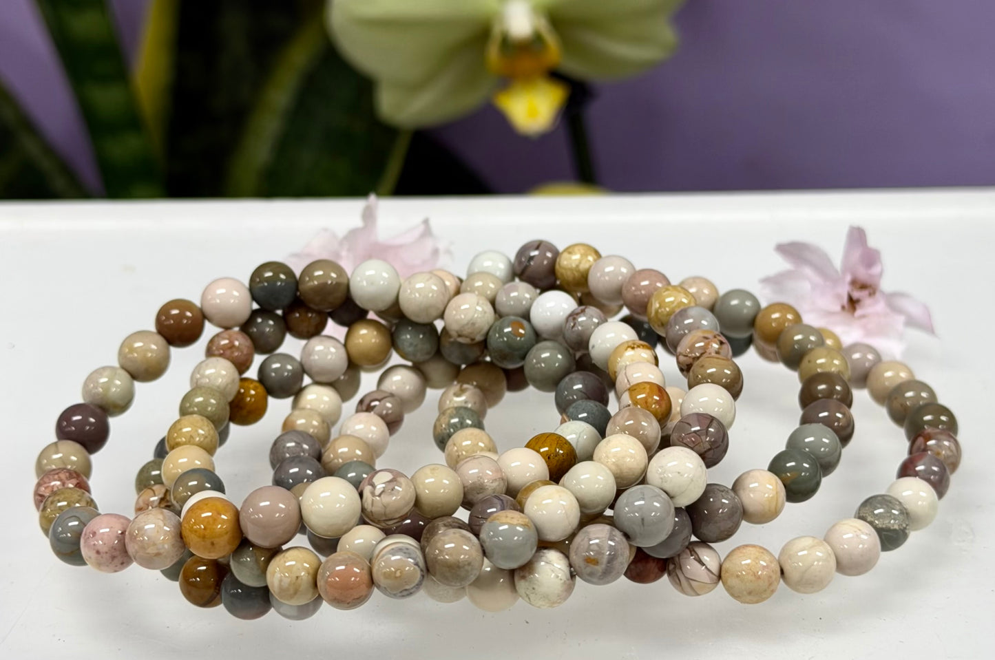 6 PCs 6mm Natural Alashan Agate Stretch Bracelet 7.5”