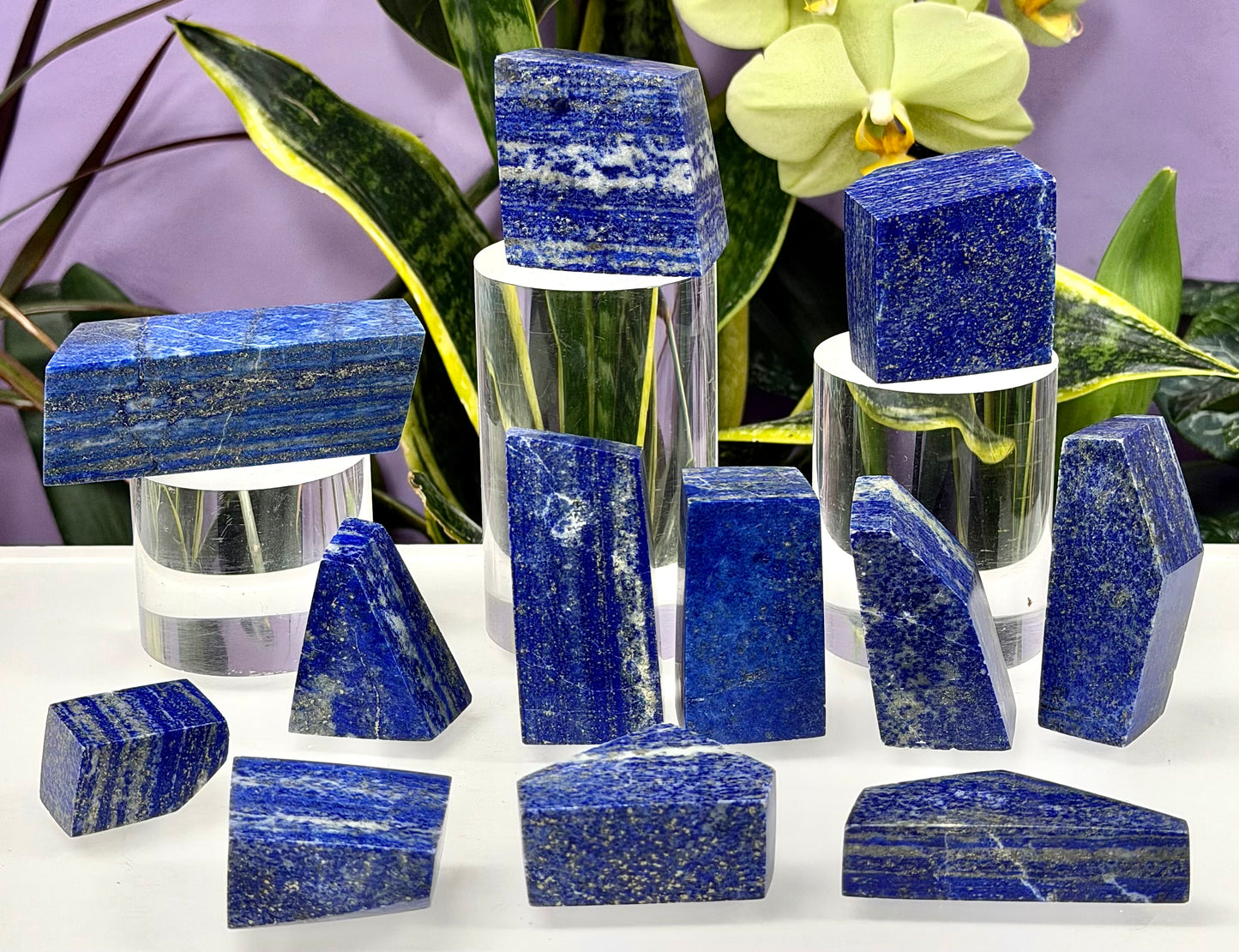 Wholesale Lot 2 lbs Natural Lapis Lazuli Crystal Polished Freeform Healing Energy