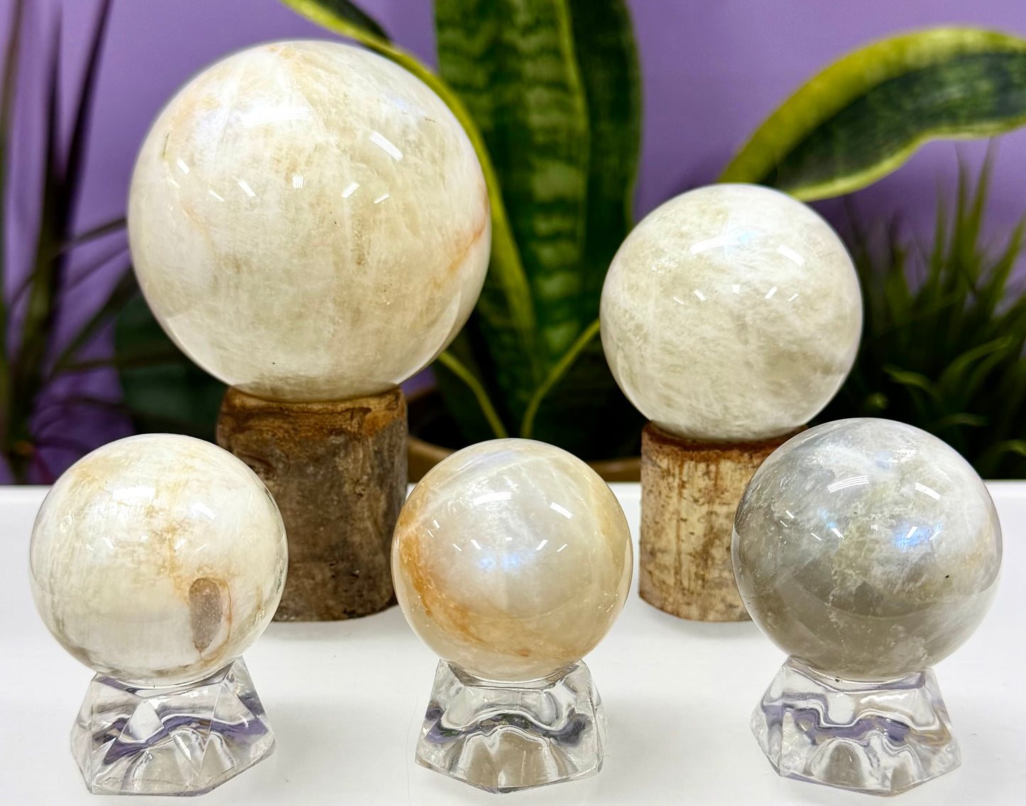 Wholesale Lot 5 Pcs Natural Moonstone Spheres Crystal Ball 1.9-2 Lb Healing Energy