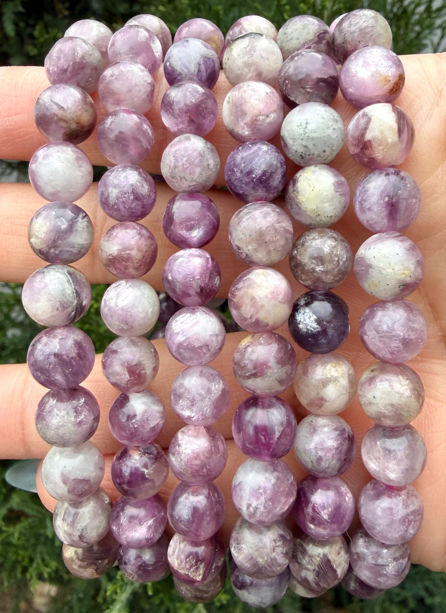 6 PCs Natural Lepidolite Mica 8mm 7.5” Stretch Bracelet