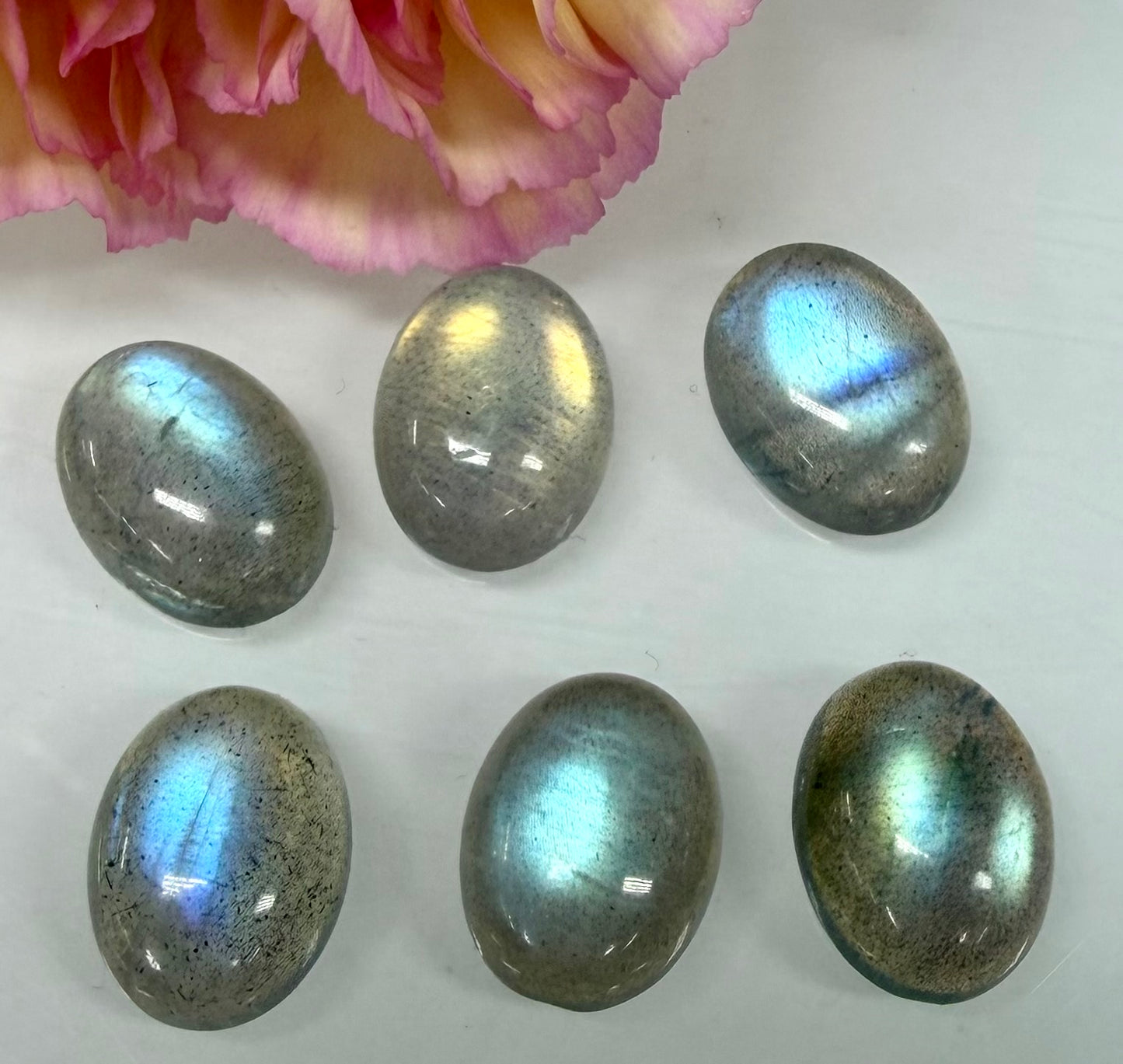 Wholesale Lot 6 pcs Natural Labradorite Cabochon Crystal Healing Energy ~12x16mm