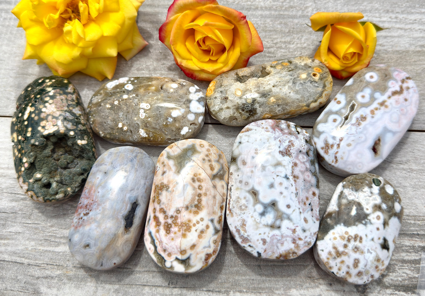 Wholesale 1 lb Lot Natural Ocean Jasper Palm Stone Crystal Energy