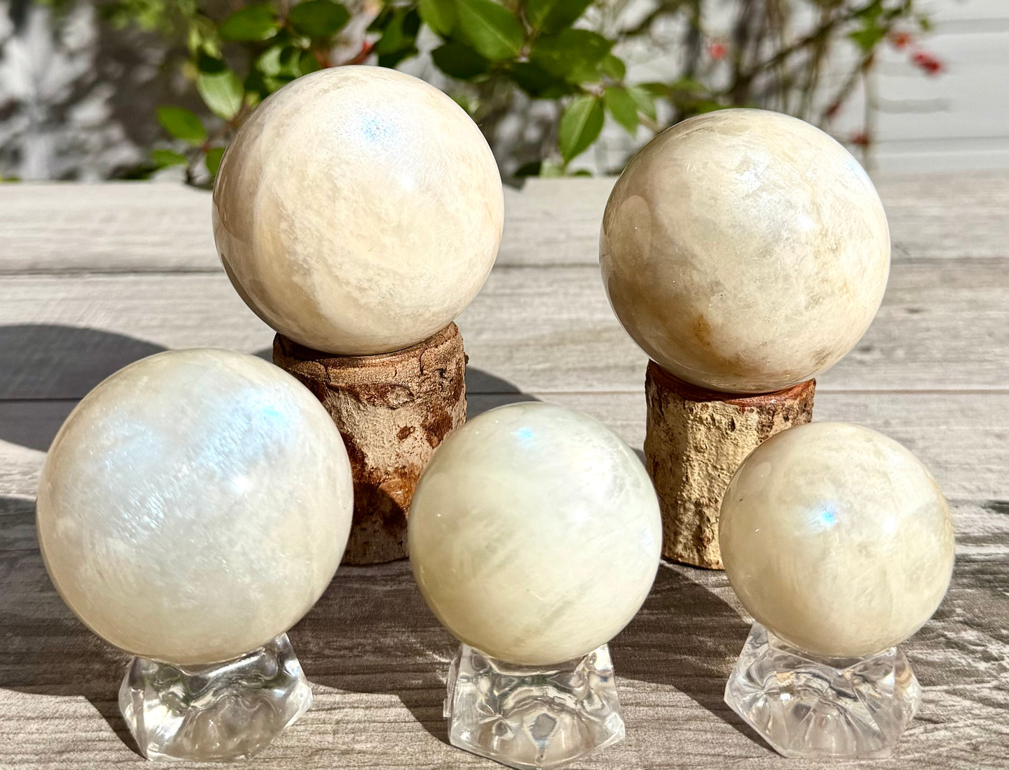 Wholesale Lot 5 Pcs Natural Moonstone Spheres Crystal Ball 1.9-2 Lb Healing Energy