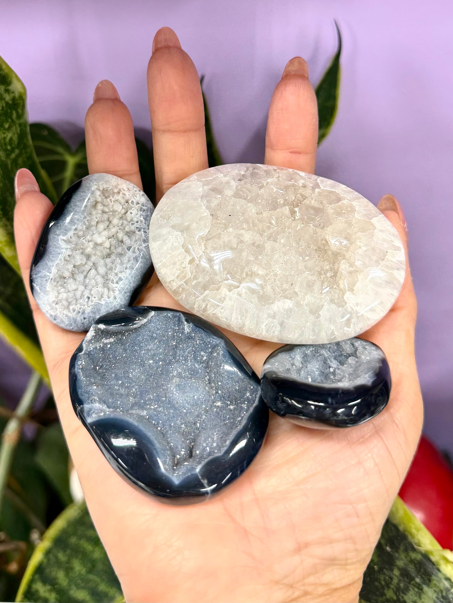 Wholesale 2 Lb Lot Natural Druzy Onyx Palm Stones Crystal Energy