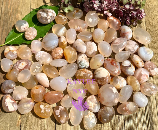 Wholesale Lot 2 Lbs Natural Flower Agate Tumble Healing Energy Nice Quality