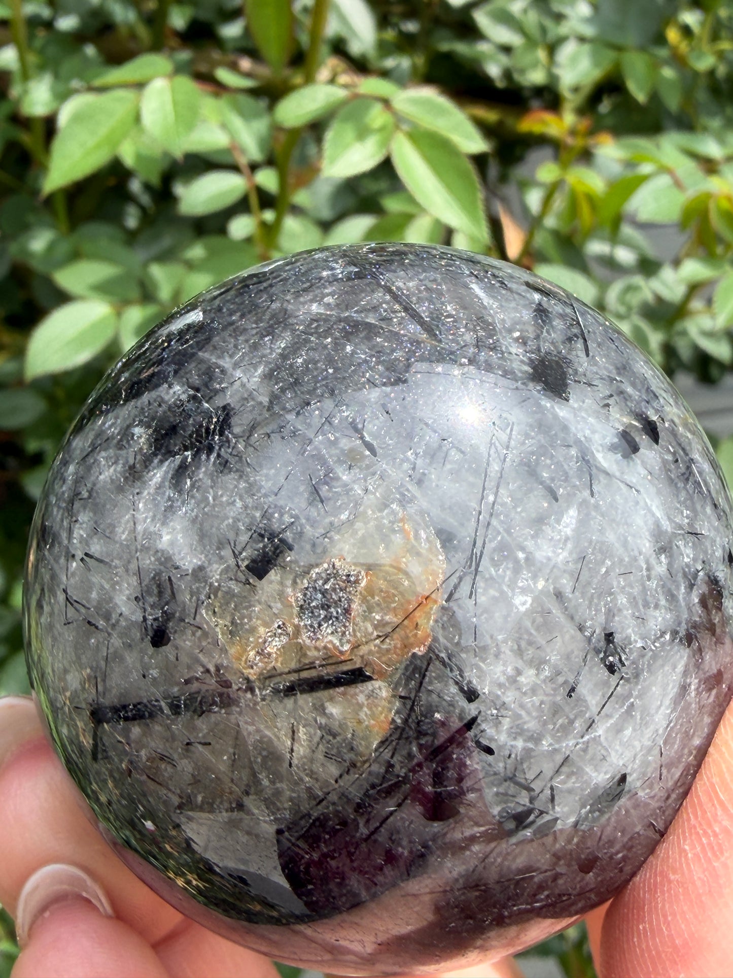 7-9 PCs Natural Tourmalinated Quartz Sphere