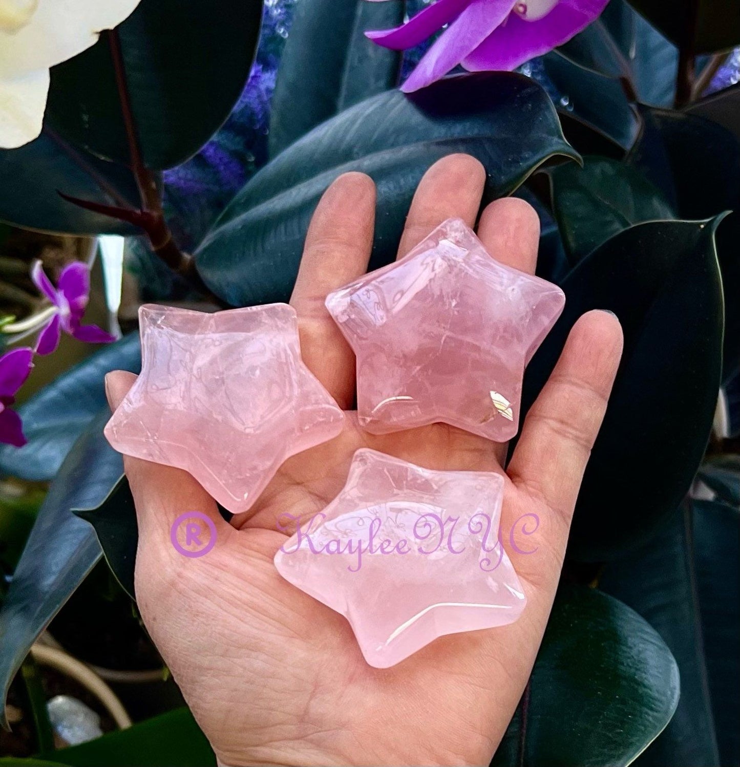 Wholesale Lot 7 PCs Natural Rose Quartz Crystal Stars Healing Energy