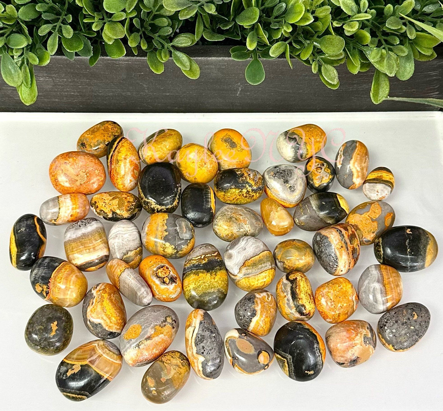 Wholesale Lot 2 Lbs Natural Bumblebee Jasper Tumble Healing Energy Nice Quality