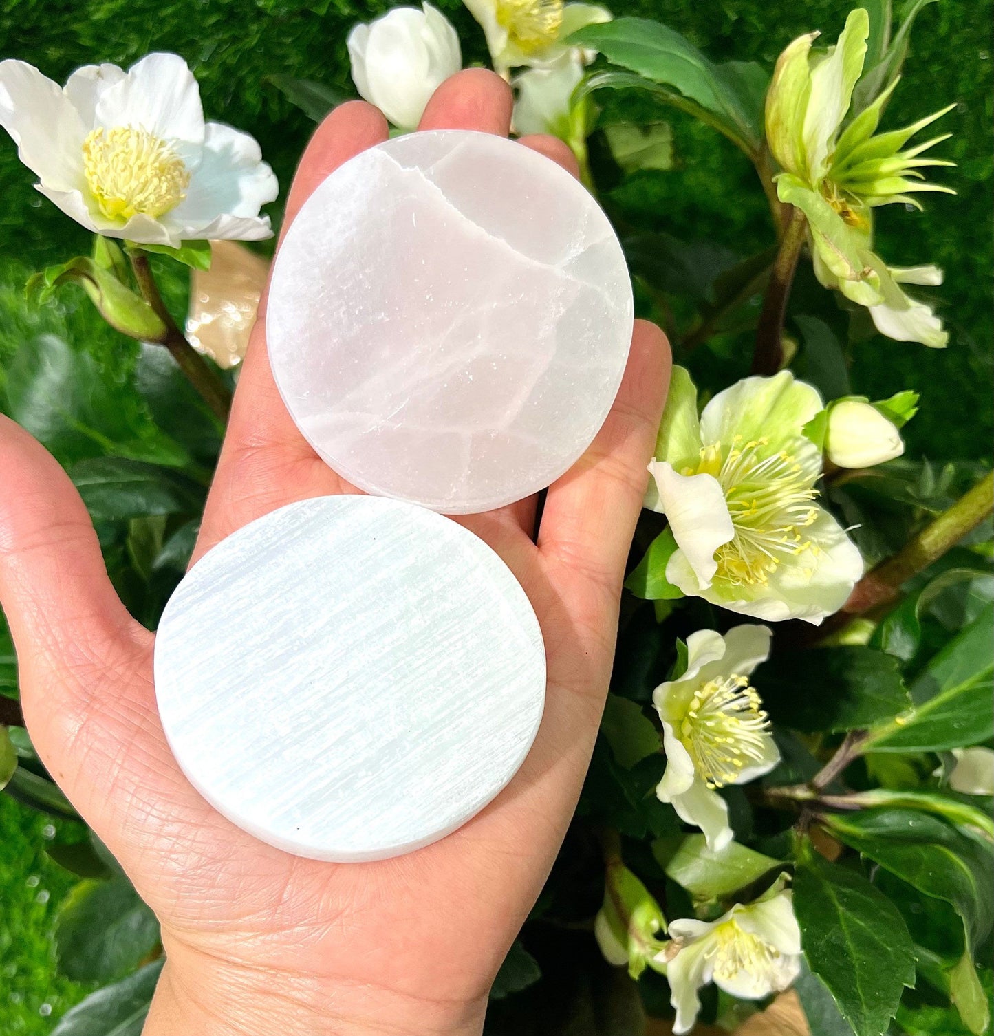 Wholesale Lot 6 pcs Natural Selenite aka Satin Spar Charging Plate Crystal Healing Energy