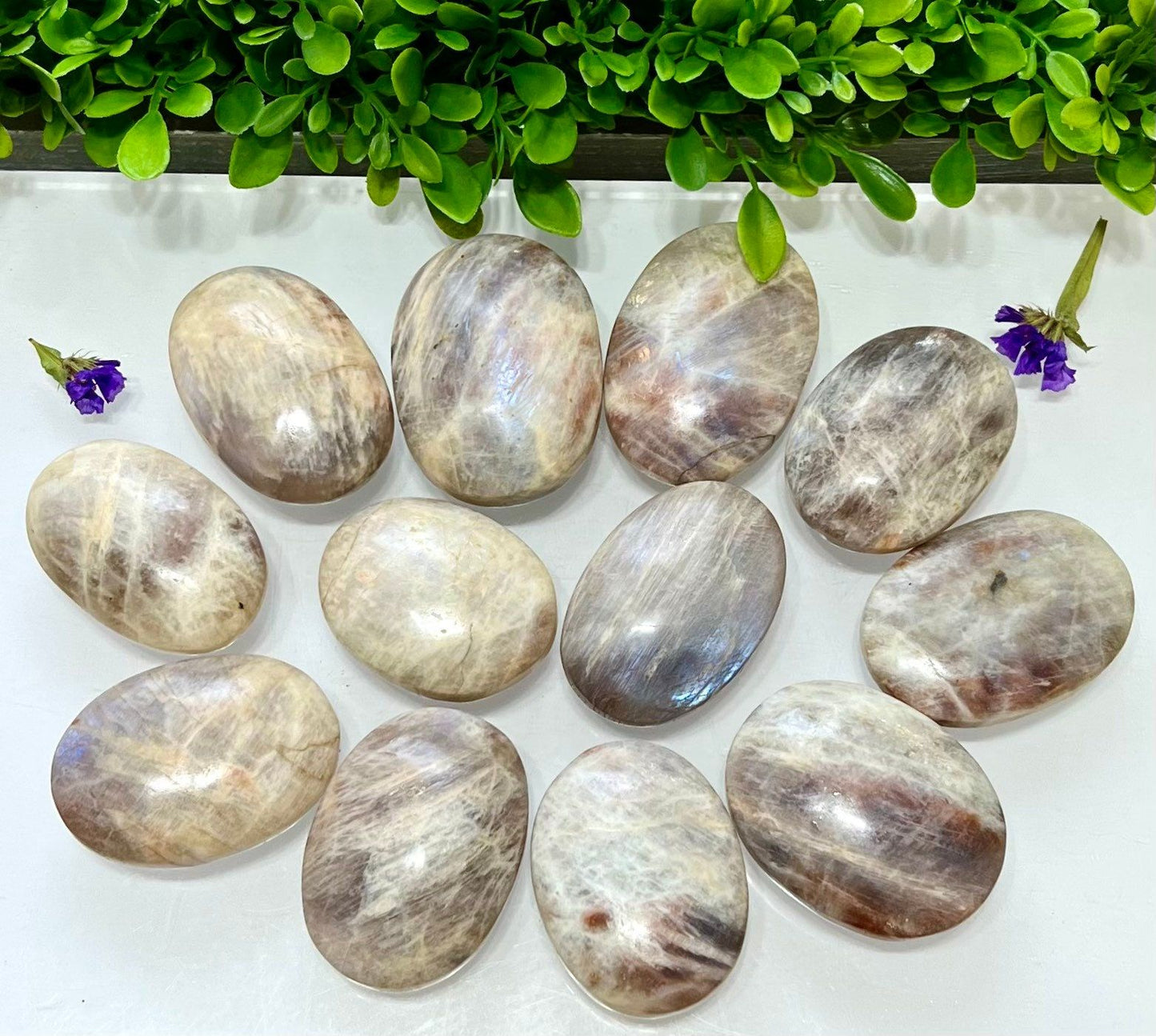 Wholesale Lot 2 Lbs Natural Moonstone Palm Stone Crystal Healing Energy