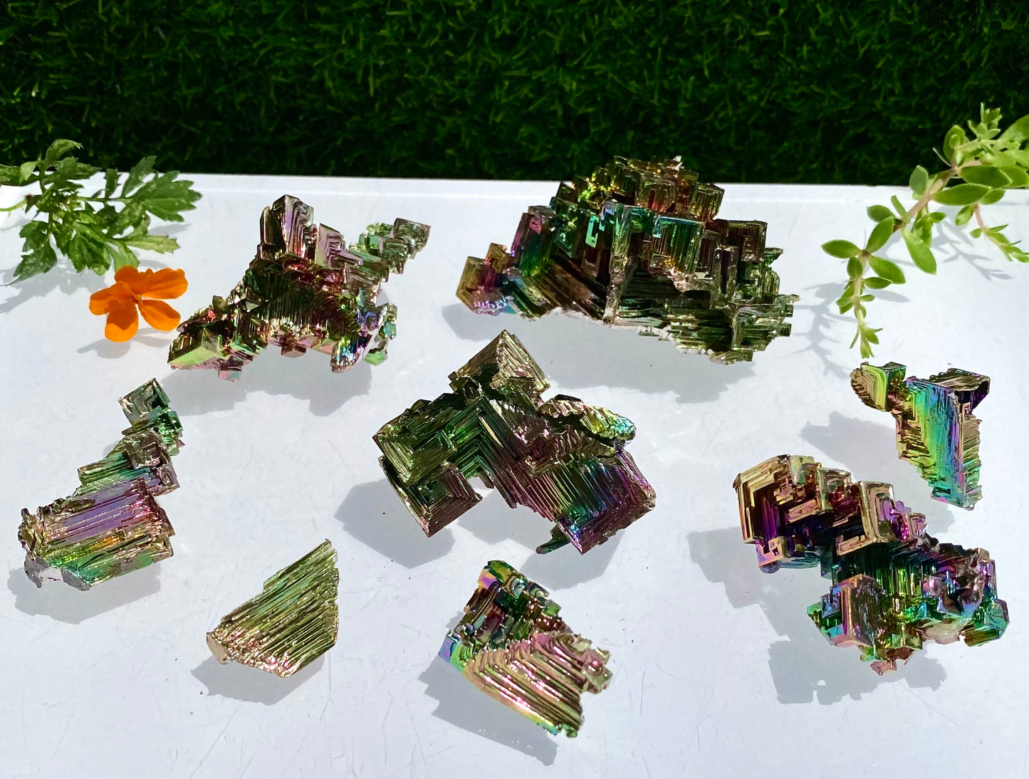 Wholesale Lot 1 lb Bismuth Specimens Healing Energy Raw