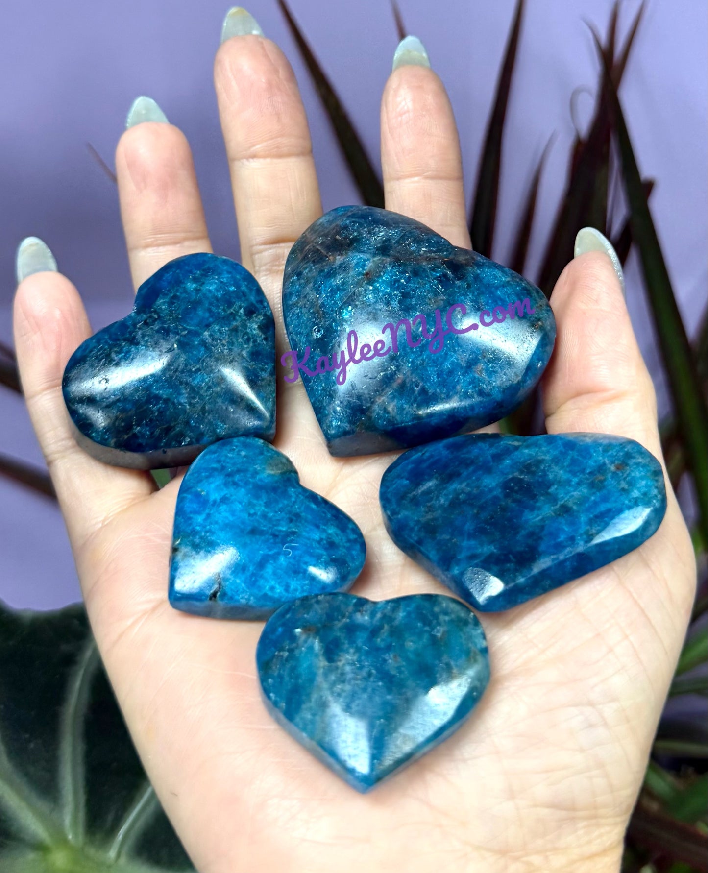 Wholesale 1 lb Lot Natural Apatite Heart Crystal Energy