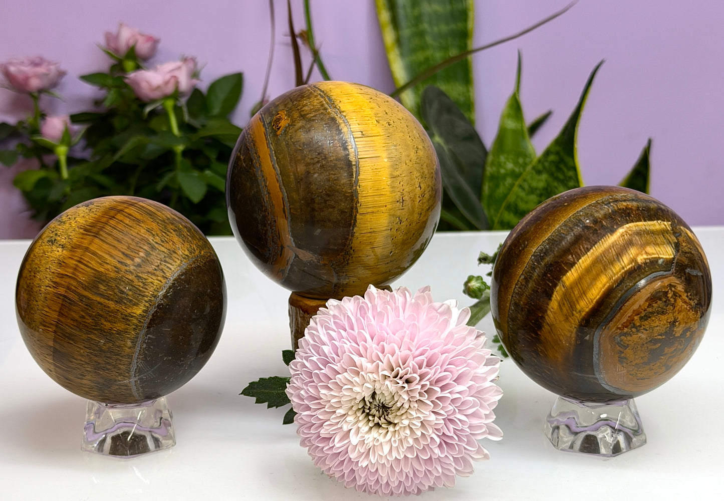 Wholesale Lot 3-4 pcs Natural Tiger Eye Spheres Crystal Ball Energy Healing
