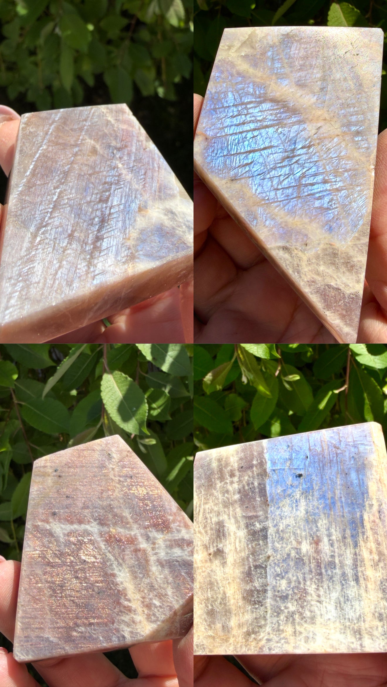 Wholesale Lot 2 lbs Natural Moonstone Slab Crystals healing energy