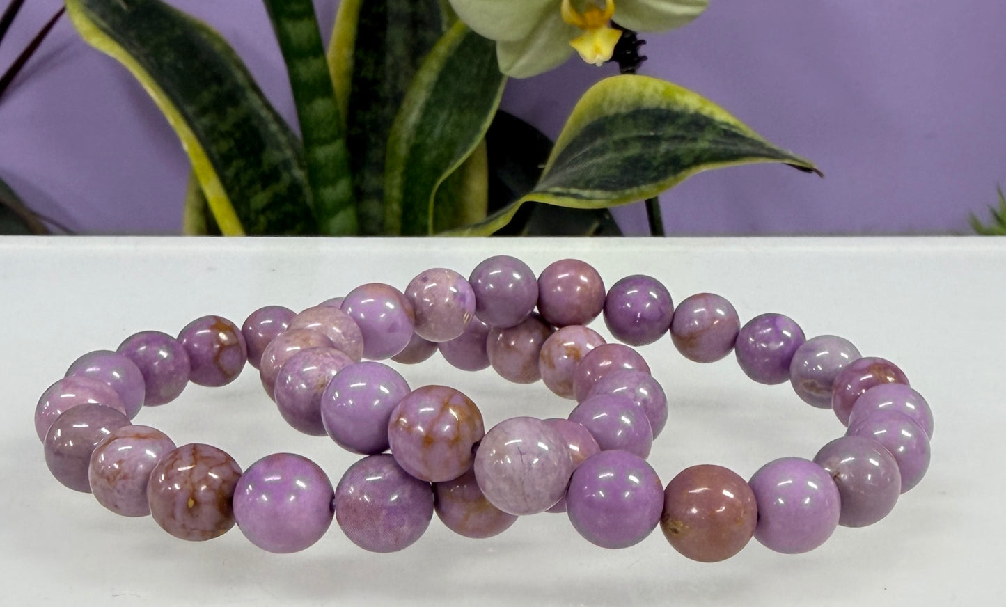 6 PCs Natural Phosphosiderite 10mm 7.5” Stretch Bracelet