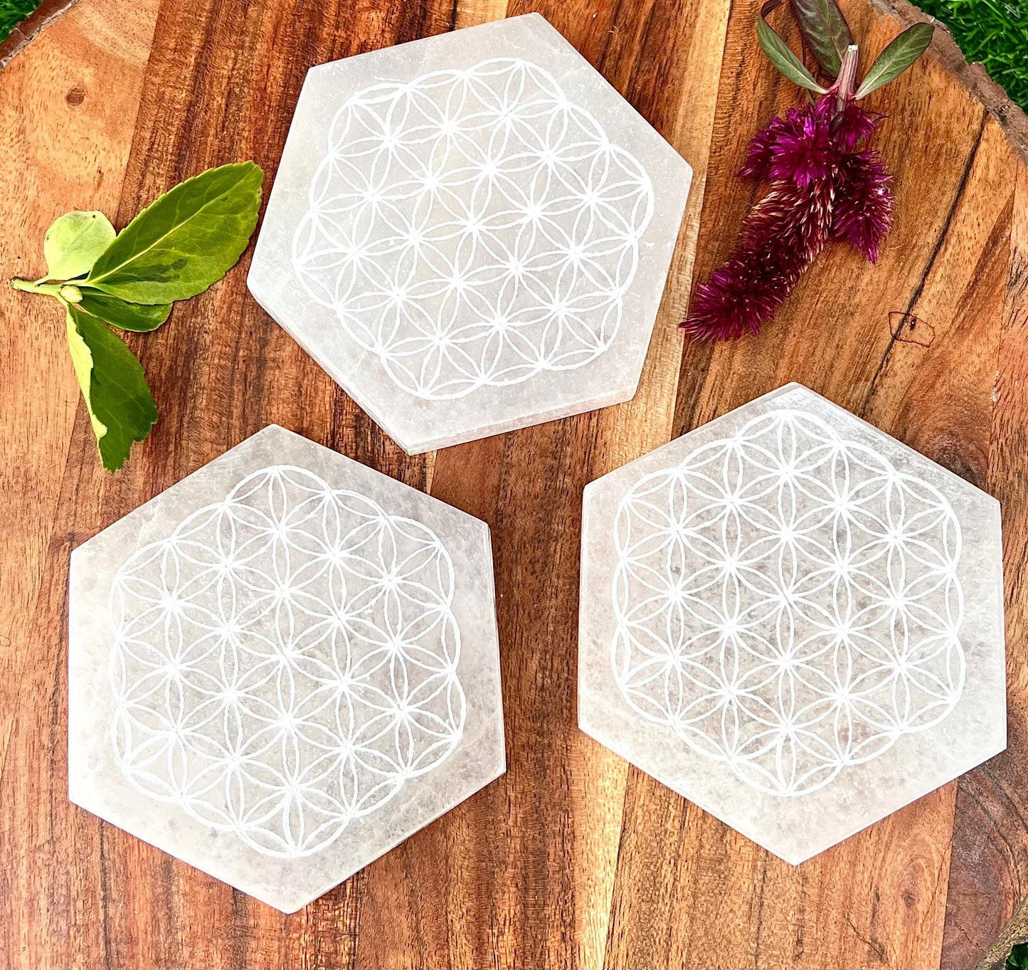 Wholesale Lot 3 pcs Natural Selenite aka Satin Spar Hexagon Charging Plate Crystal Healing Energy