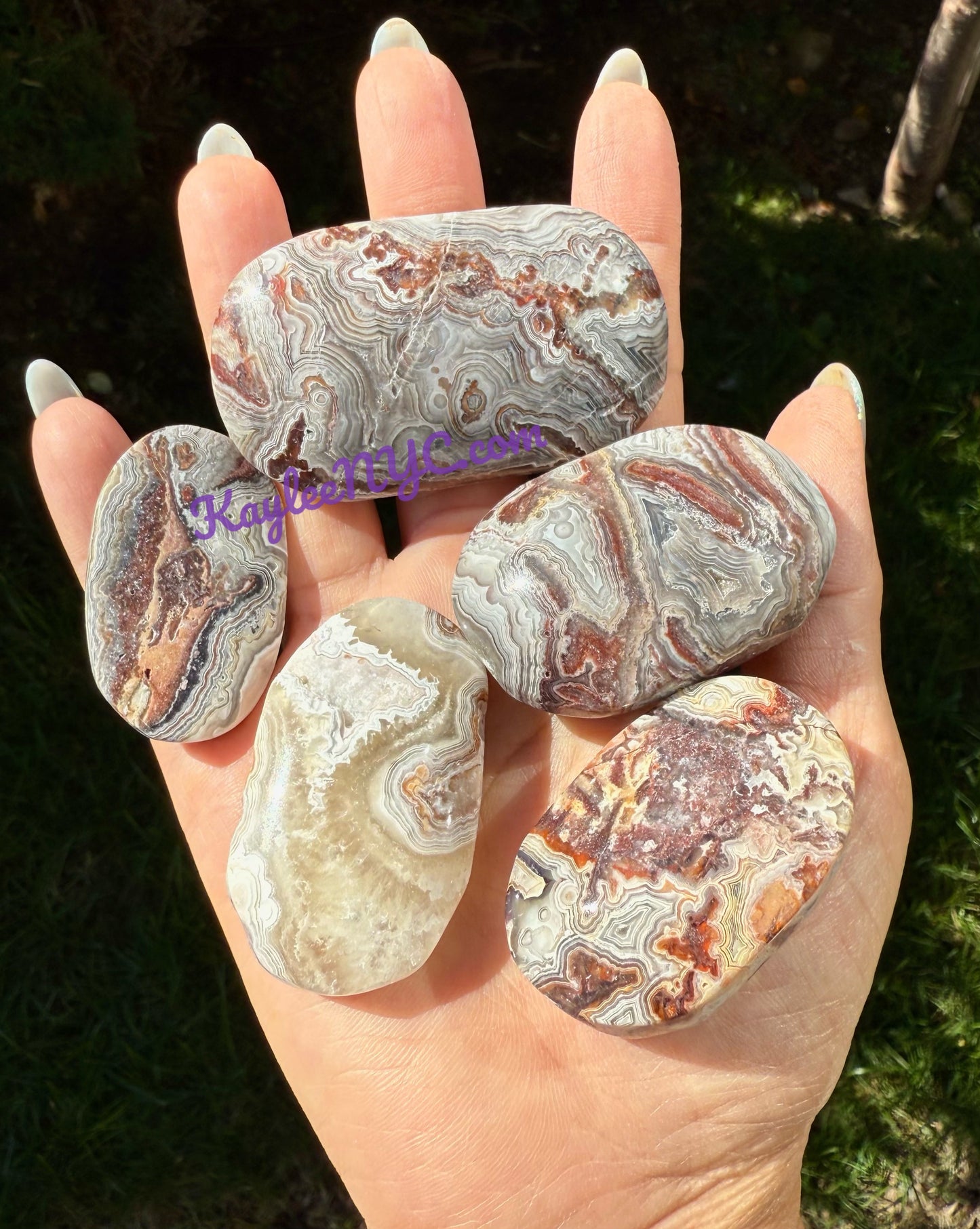 Wholesale 2 Lb Lot Natural Mexican Lace Agate Palm Stones Crystal Energy