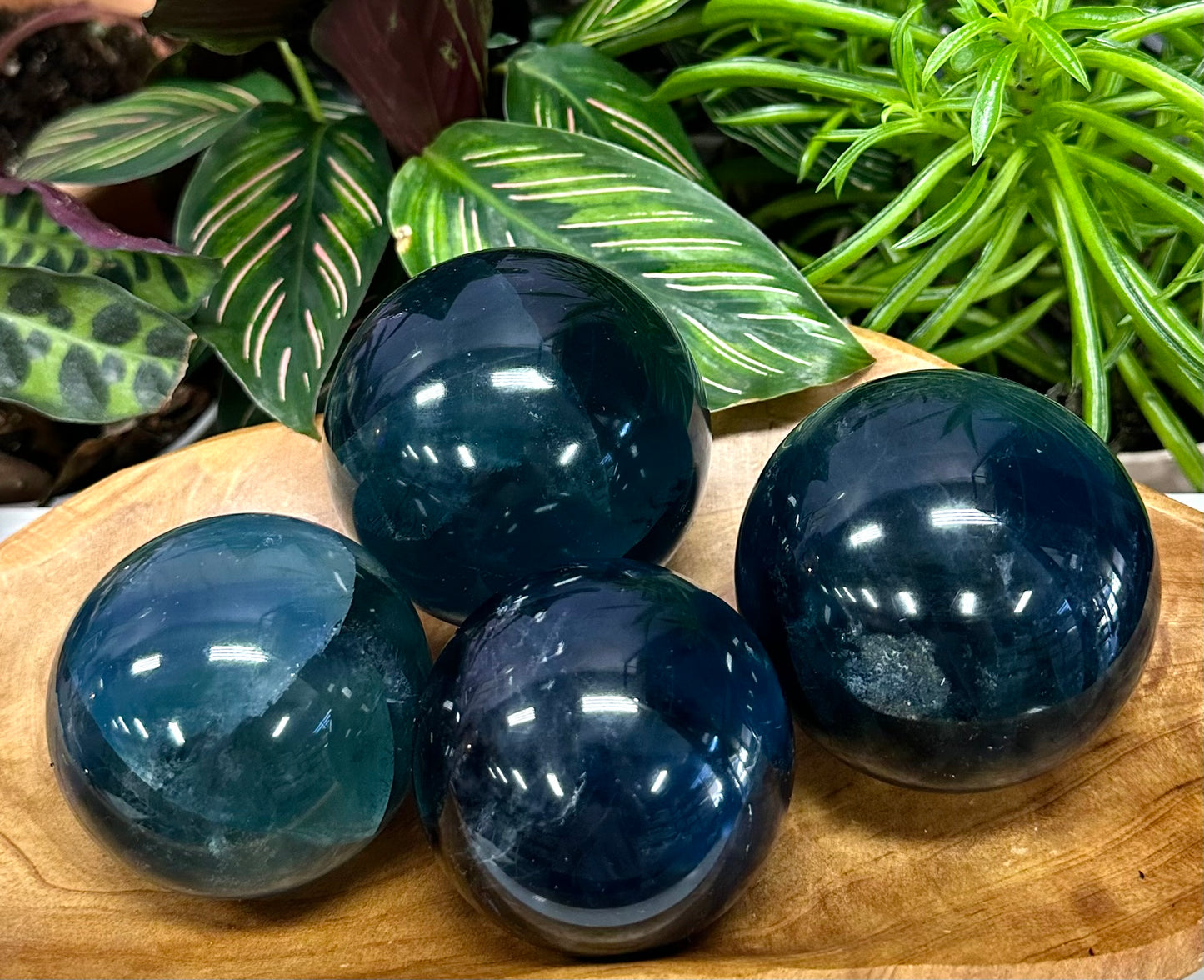 Wholesale Lot 4 to 5 Pcs Natural Blue Fluorite Sphere Crystal Ball 4.8 to 5 lbs  Healing Energy