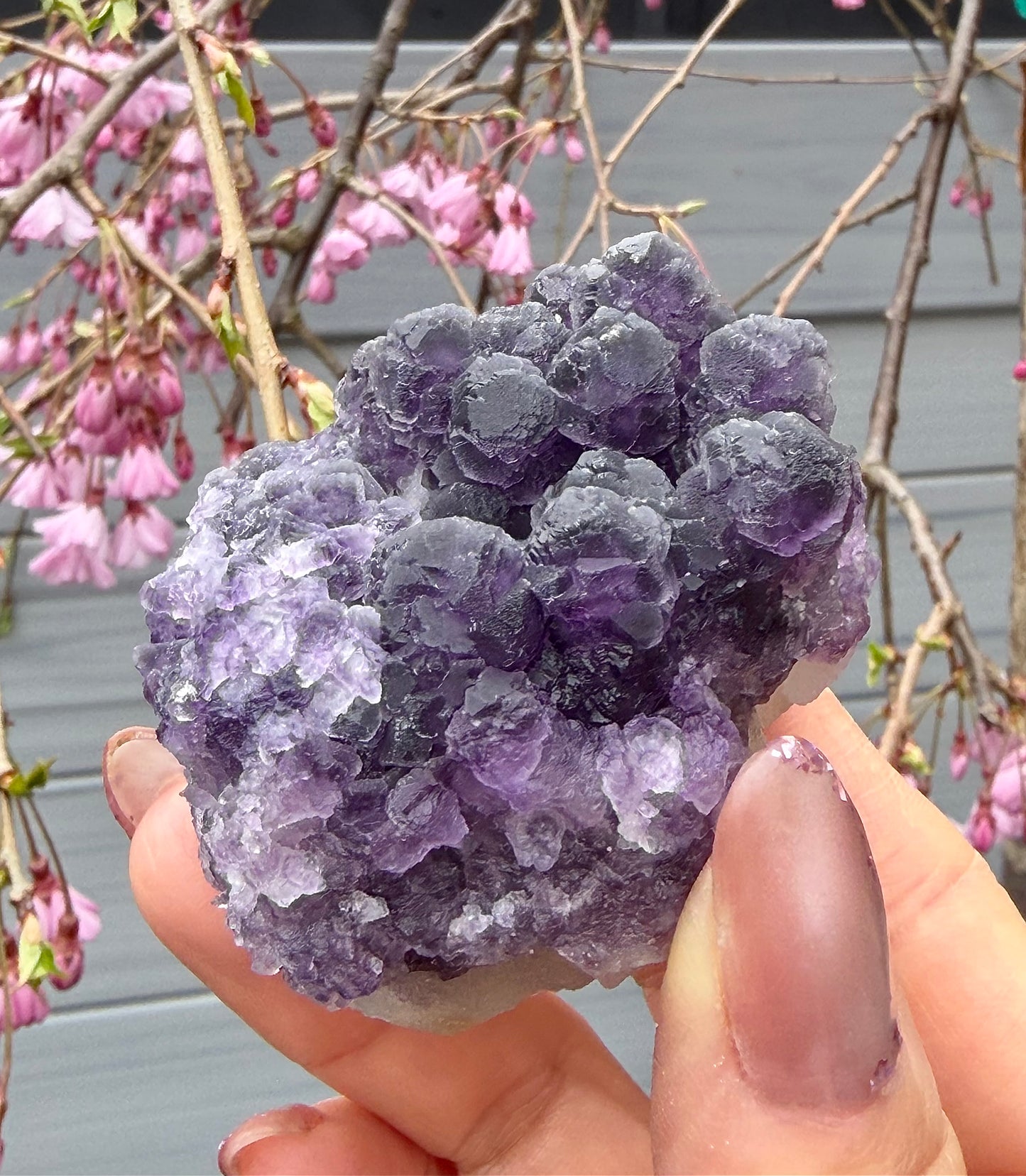 6-8 pcs Natural Purple Fluorite Quartz specimen Crystal