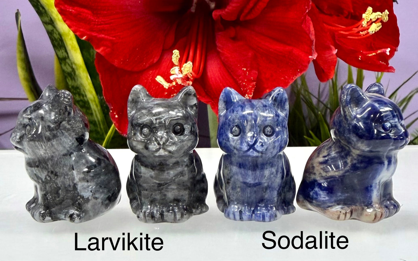 12 PCs Natural Crystals Cat Healing Energy