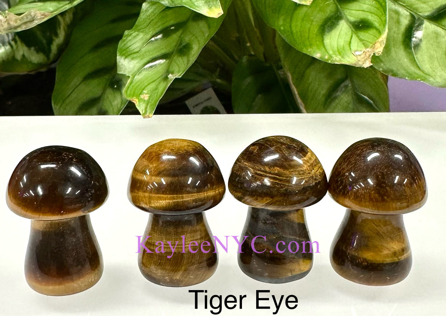 Wholesale Lot 12 PCs 3.5cm Natural mix Crystal Mushroom Healing Energy