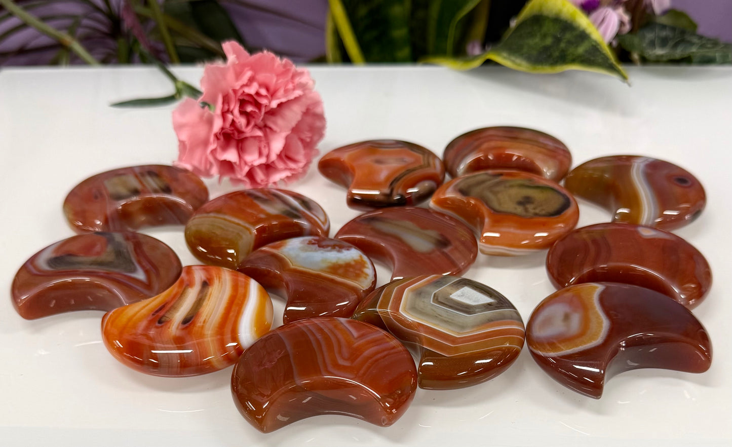 Wholesale Lot 2lb Natural Carnelian Crystal Moon Healing Energy