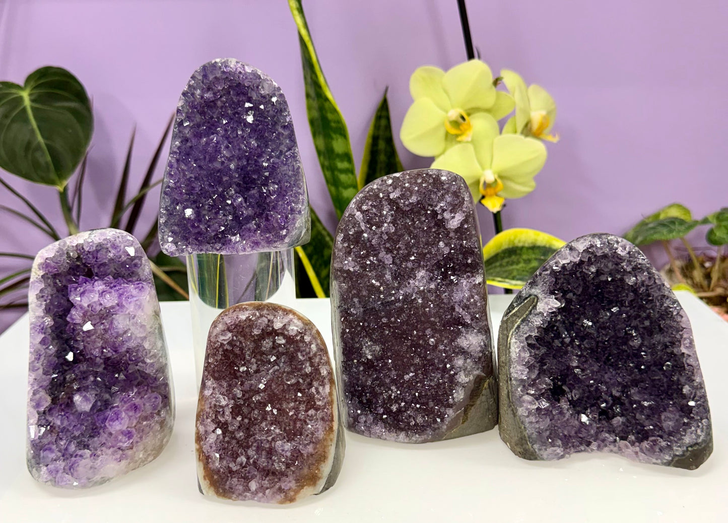 Wholesale Lot 4-5 pcs NaturalAmethyst cut base 4.8-5lbs Healing Energy