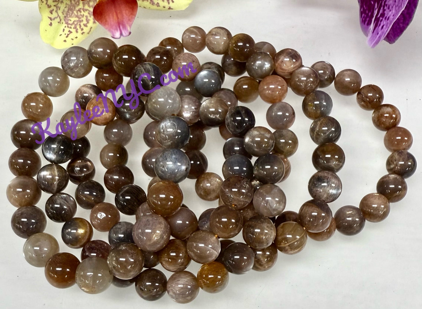Wholesale Lot 6 Pcs Natural Black Moonstone 10mm 8” Stretch Bracelet
