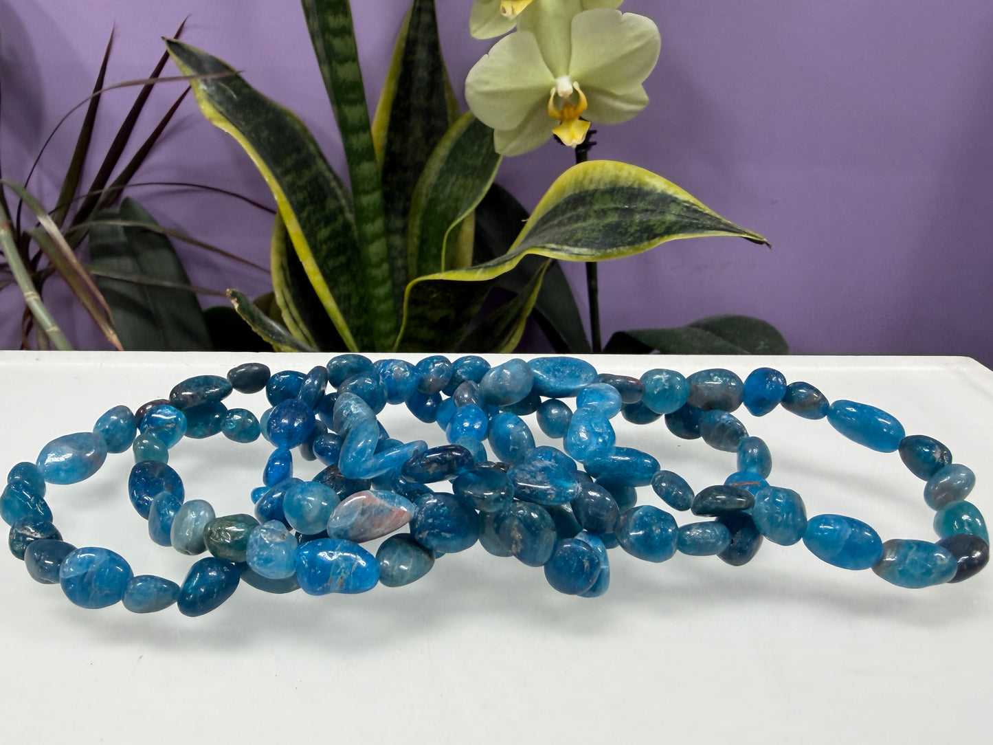 Wholesale 6 Pcs 8x10mm Apatite Natural Crystal tumble Stretch Bracelet 7.5"