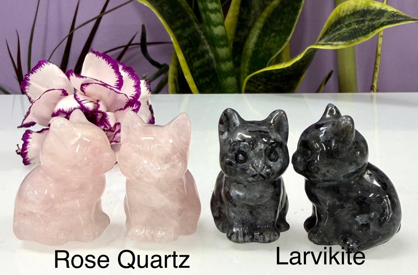 10 PCs Natural Crystals Cat Healing Energy