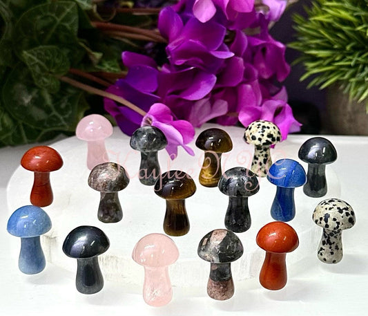 Wholesale Lot 16 PCs Mixed 1” Crystal Mushroom Healing Energy