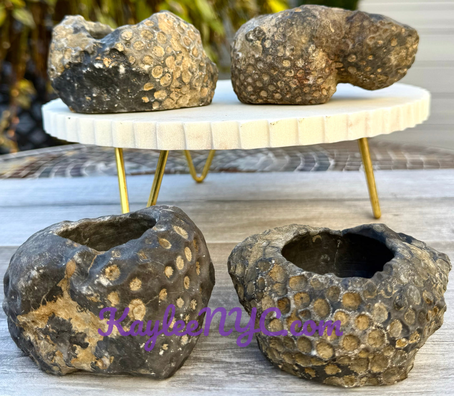 Wholesale Lot 6 PCs Natural Aventurine Cat Bowls Crystal Healing Energy