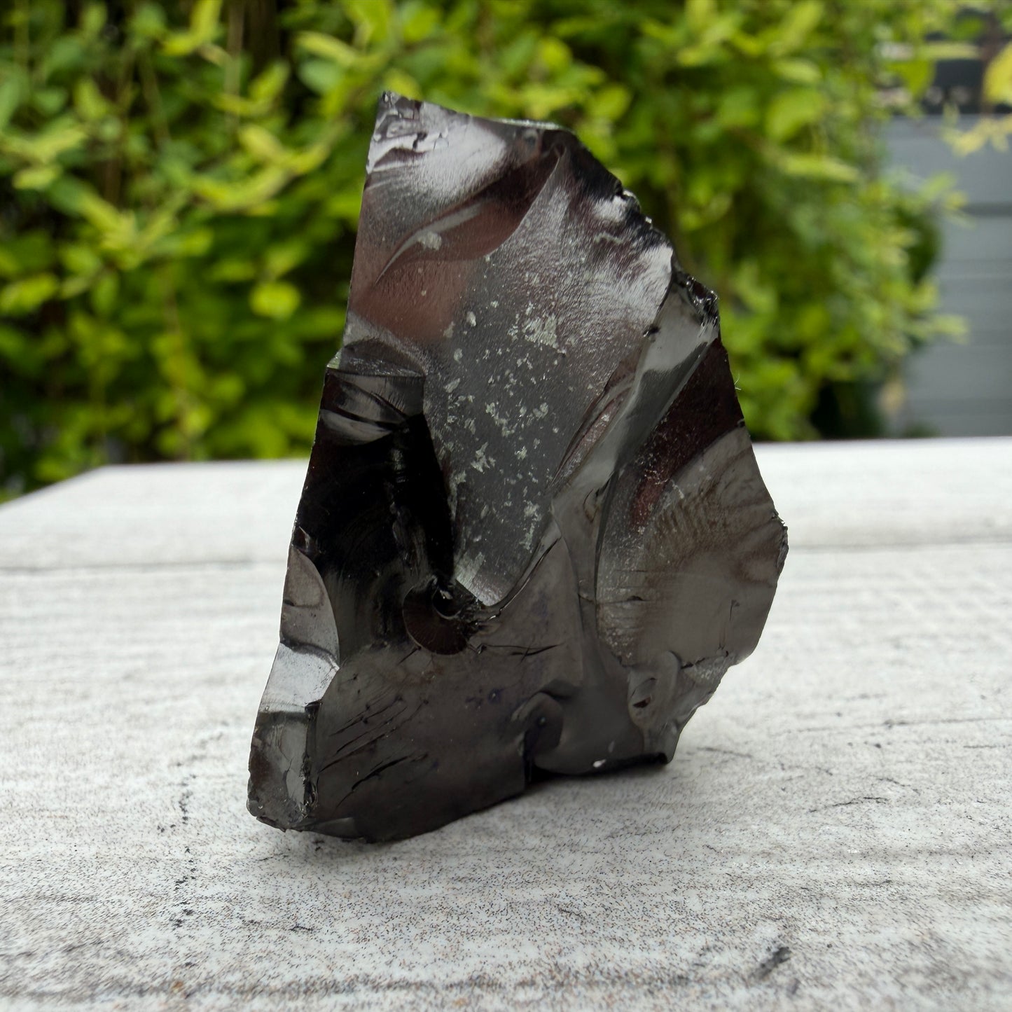 Wholesale Lot 2 lb Natural Elite Shungite (Russia) Raw Crystal Healing Energy