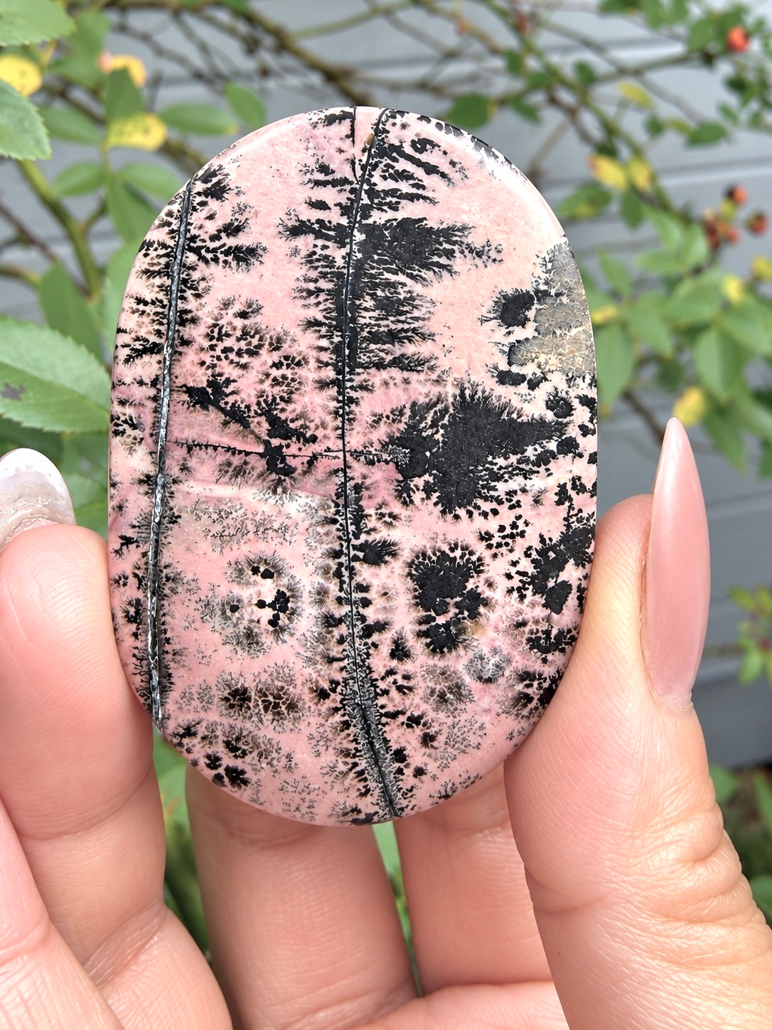 Wholesale 2 Lb Lot Natural Picture Jasper Palm Stones Crystal Natural Energy