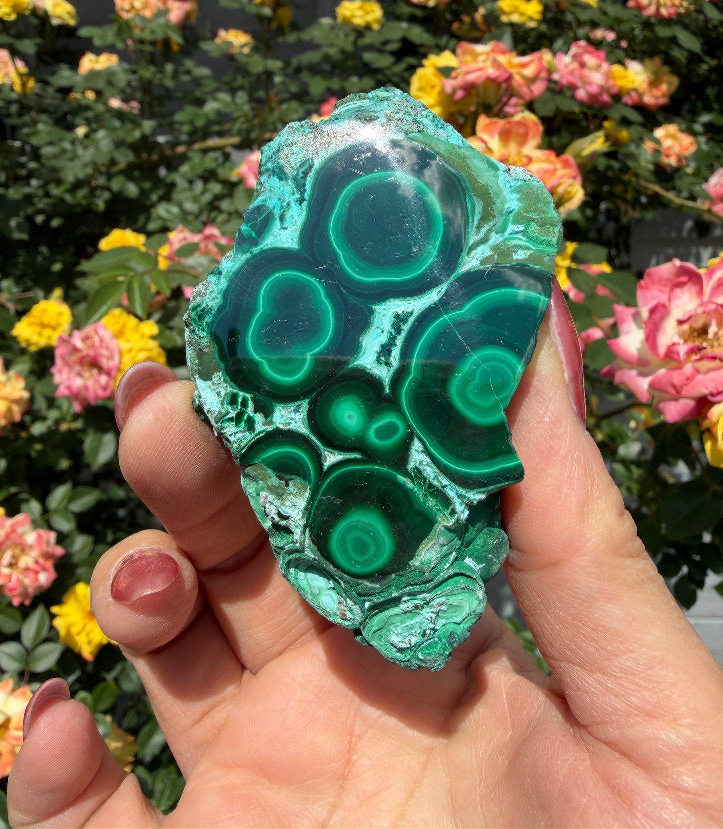 Wholesale 2 lbs Natural Chrysocolla Malachite Slabs Crystal