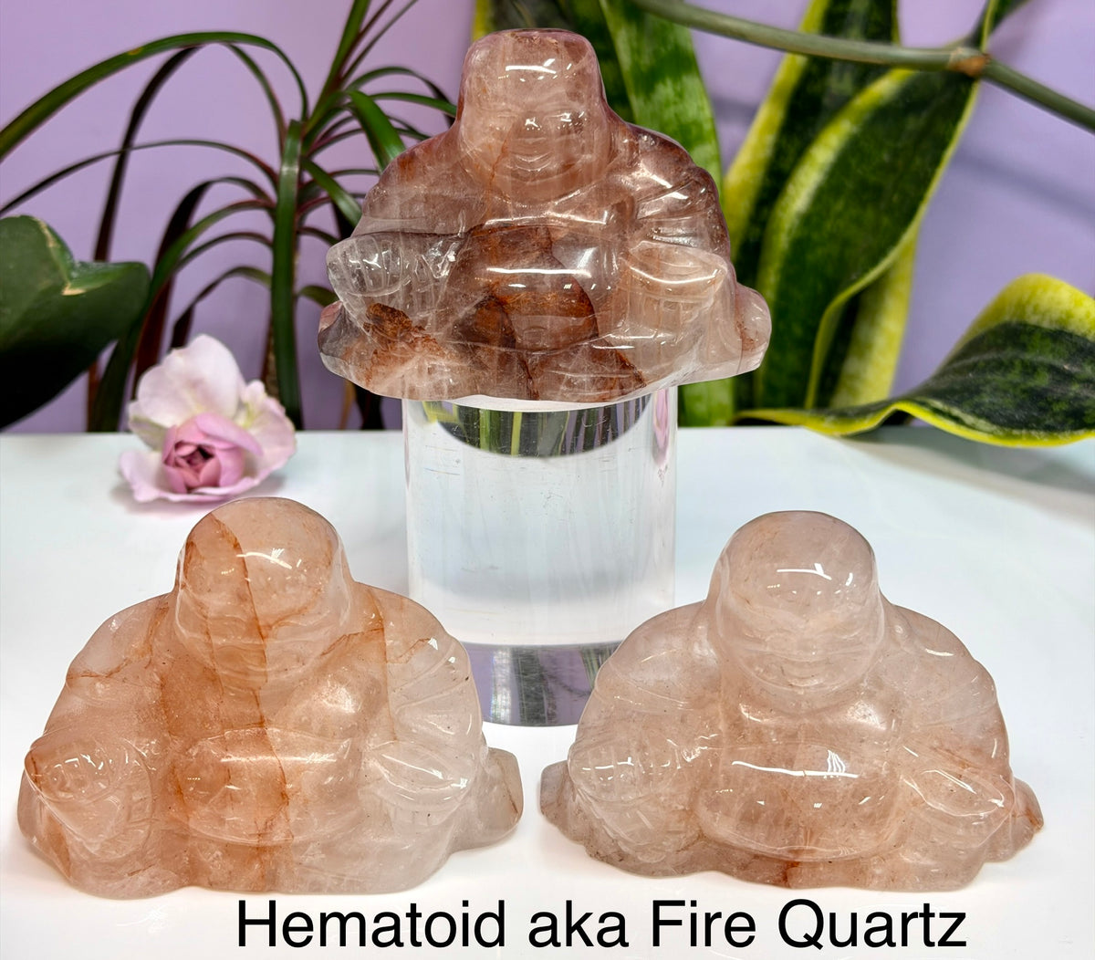 Wholesale Lot 8cm Mixed Natural Crystals Buddha Energy Healing