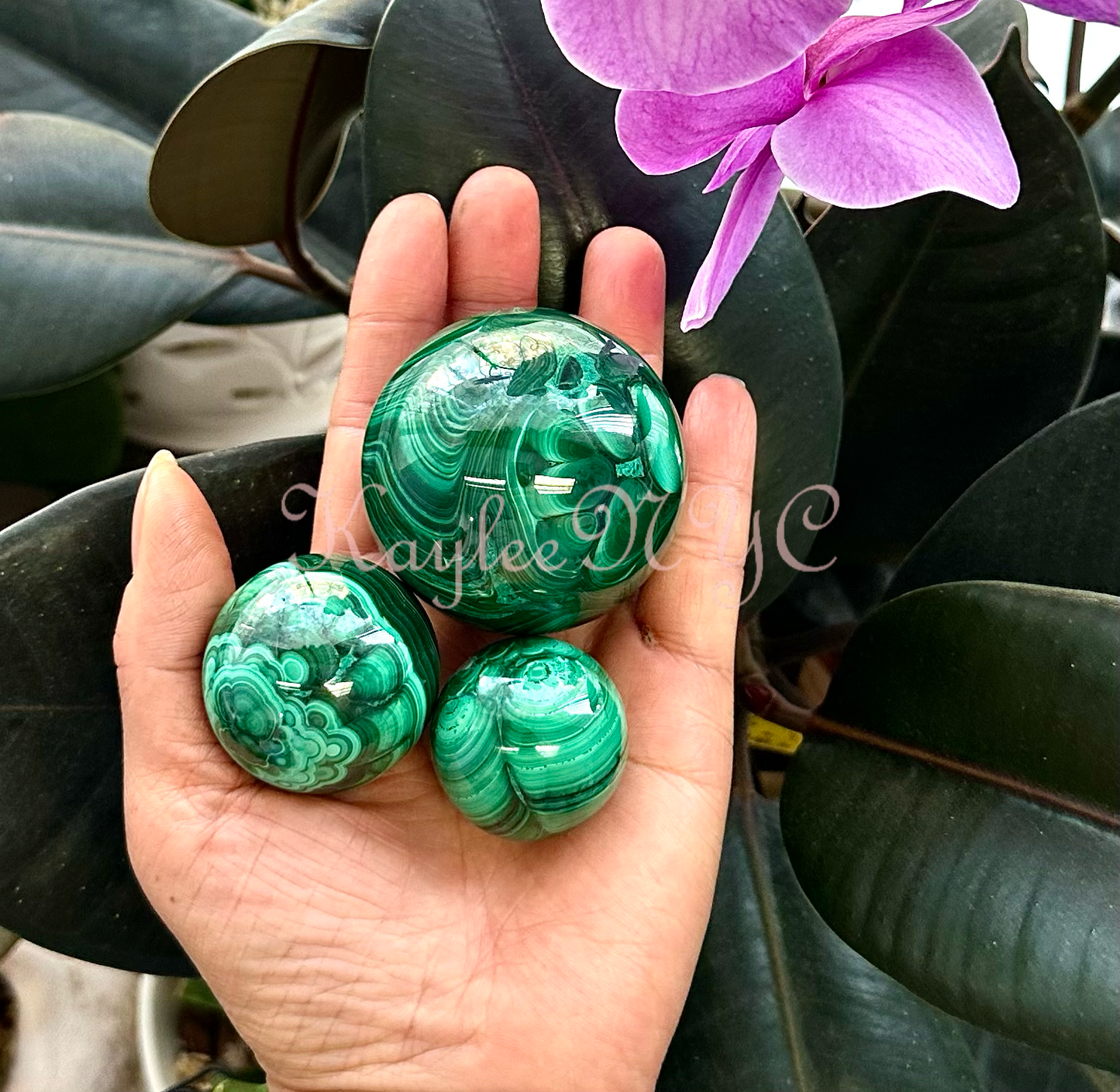 Wholesale 5 PCs Natural Malachite Spheres Crystal Ball Healing Energy