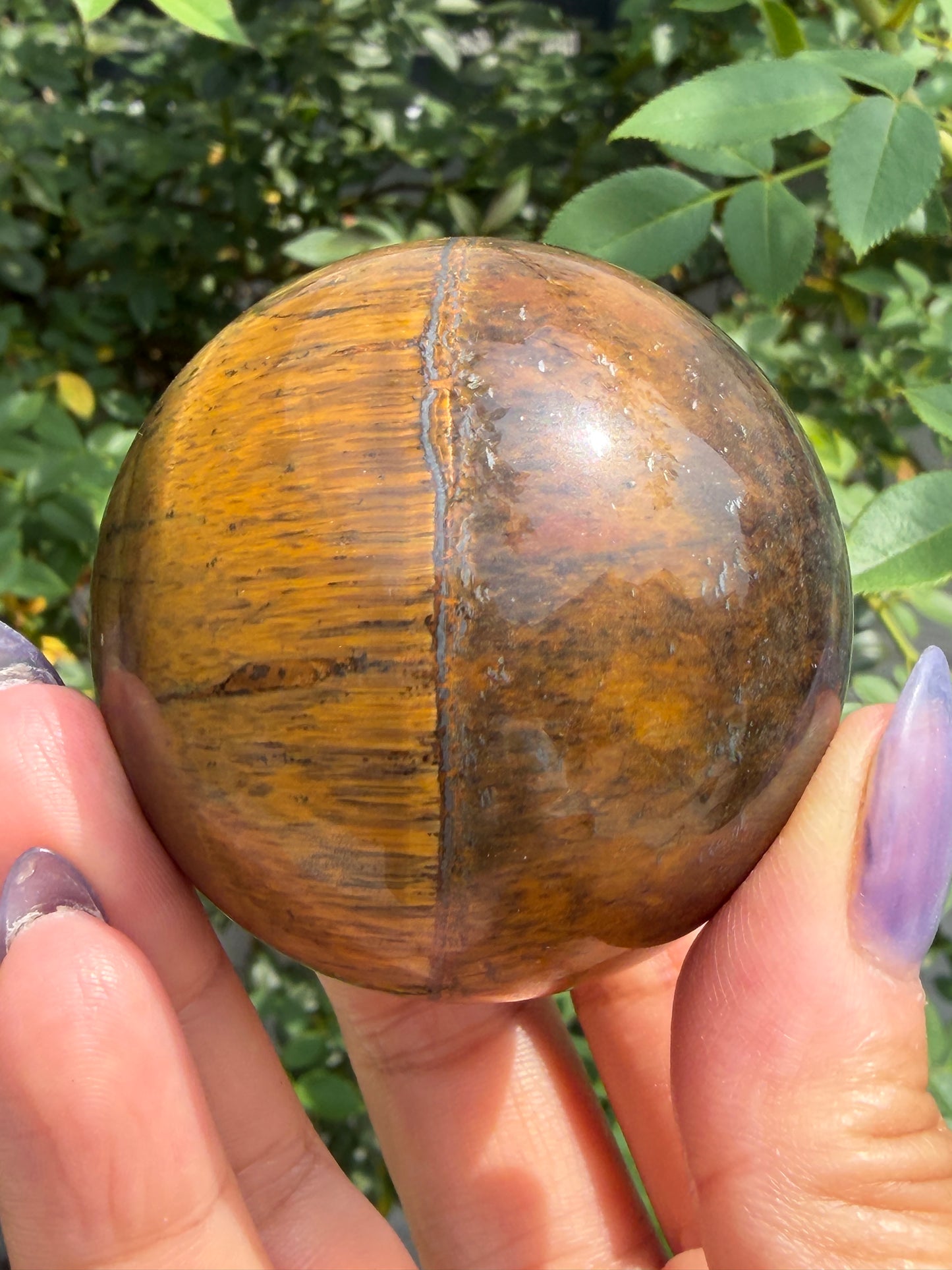 Wholesale Lot 3-4 pcs Natural Tiger Eye Spheres Crystal Ball Energy Healing