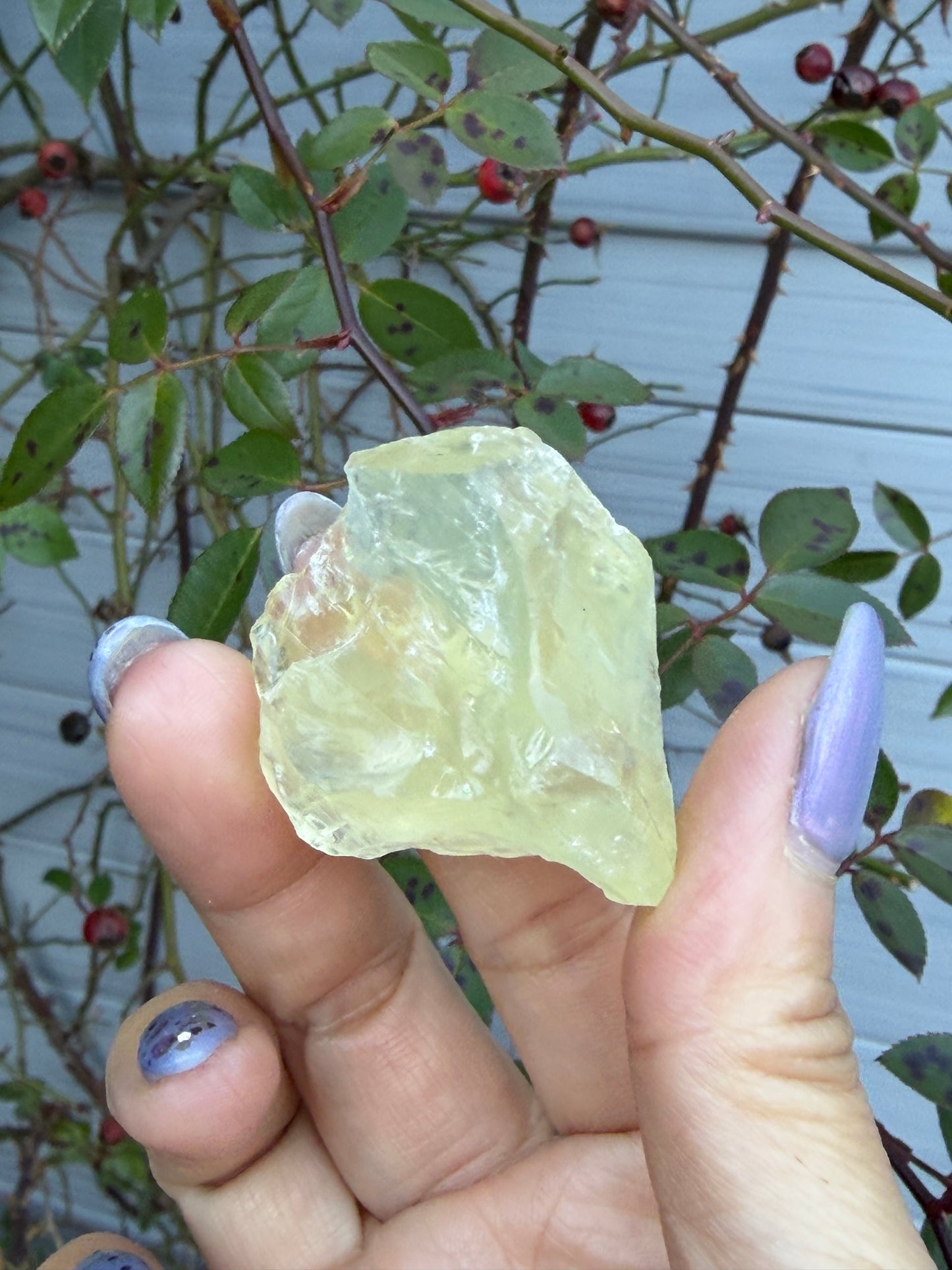 2 lbs Natural Lemon Quartz Rough Crystals Healing Energy
